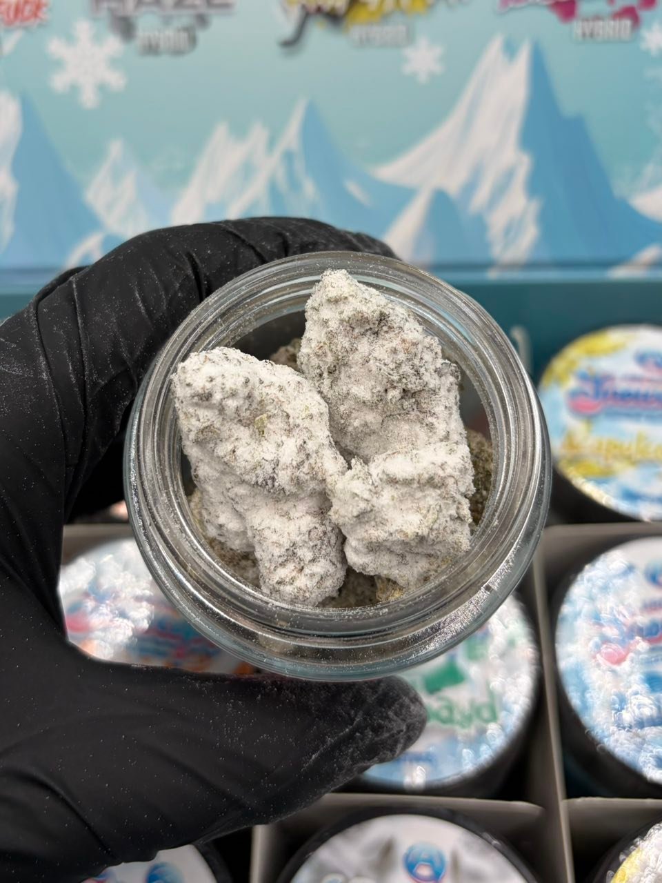 Arcadia Snowcaps Original Edition